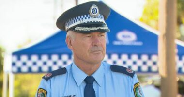 Assistant Commissioner Andrew Holland told media.
