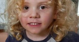 Missing four-year-old Gus