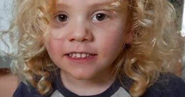 Missing four-year-old Gus