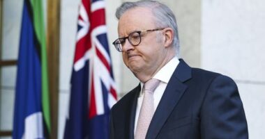 Poll delivers fresh blow to embattled Albanese