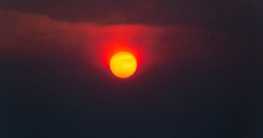 The ghostly and obscured sun shrouded in dense, orange-grey smoke from a devastating forest fire. The summer sun struggles to penetrate the haze, casting an eerie glow.