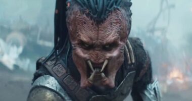 'Predator: Badlands' emerges as the highest-grossing entry in the franchise's 38-year history! Watch on digital and Blu-ray