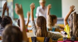 Professor slams 'sneaky approach' to oppression-based teaching of American history: 'fantastically false'