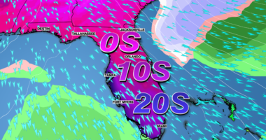Prolonged cold snap brings coldest airmass since 2010 to Tampa Bay