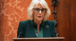 Queen Camilla to investigate benefits of book clubs