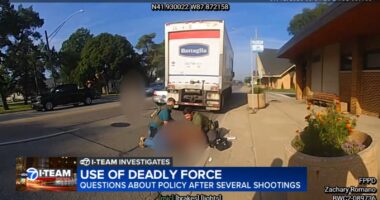 Questions raised about use of deadly force in shootings in Chicago-area immigration enforcement in wake of Minnesota ICE shooting