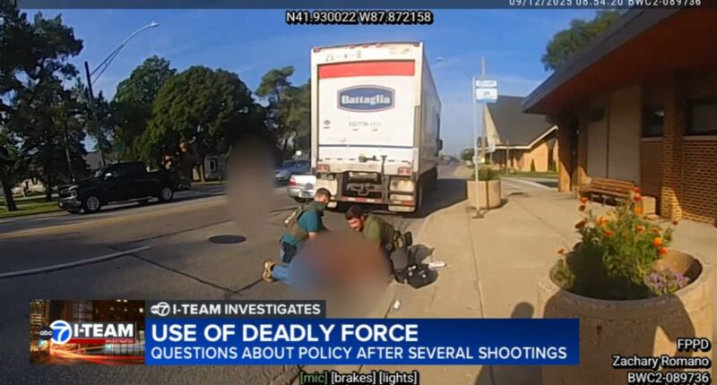 Questions raised about use of deadly force in shootings in Chicago-area immigration enforcement in wake of Minnesota ICE shooting