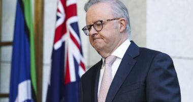 Quoting religious texts could be exempted from new hate speech laws