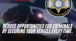 RCSO offers tips amid 148% surge in car break-ins