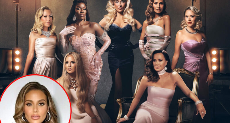 'RHOBH' Cast Reacts to Dorit Kemsley Being 90 Mins Late for Private Flight