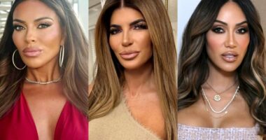 RHONJ’s Dolores Catania Suggests There Will Always Be “Resentment” Between Teresa & Melissa