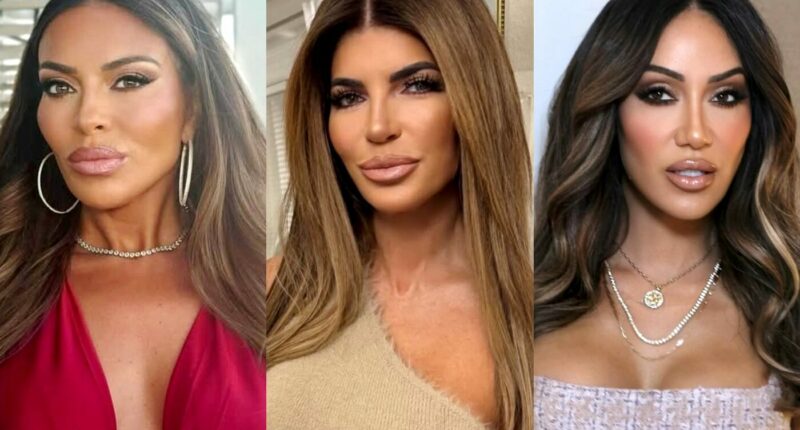 RHONJ’s Dolores Catania Suggests There Will Always Be “Resentment” Between Teresa & Melissa