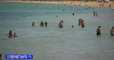 Record heat and fires knock out power to 100,000