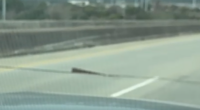 Residents report piece of metal protruding from US-278 bridge