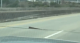 Residents report piece of metal protruding from US-278 bridge