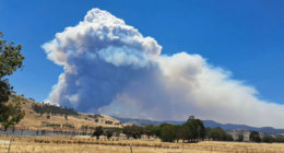 The fire is moving within Mt Lawson National Park.