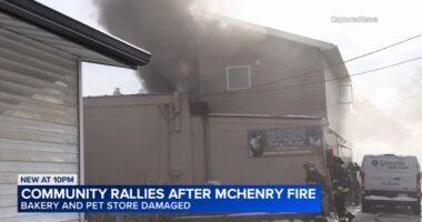 Riverside bakery fire in McHenry, Illinois: Flames damage Riverside Bake Shop, Reese's Barkery and Pawtique; firefighter injured