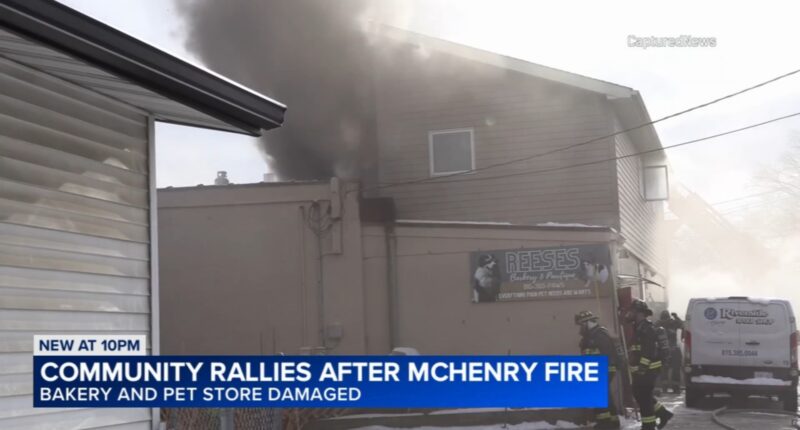 Riverside bakery fire in McHenry, Illinois: Flames damage Riverside Bake Shop, Reese's Barkery and Pawtique; firefighter injured