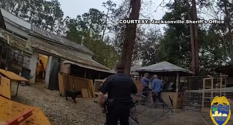 Rooster-fighting ring busted: Neighbor recalls the signs, crime expert weighs in