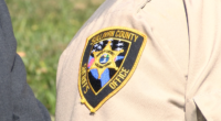 SCSO: Two dead dogs found at Piney Flats home after reports of neglect