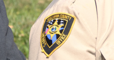 SCSO: Two dead dogs found at Piney Flats home after reports of neglect
