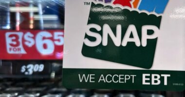 SNAP error rates: Which states overpay, underpay people most often?