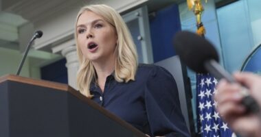 Same Deportations, Different President – Karoline Leavitt Masterfully Exposes the Left’s Hypocrisy