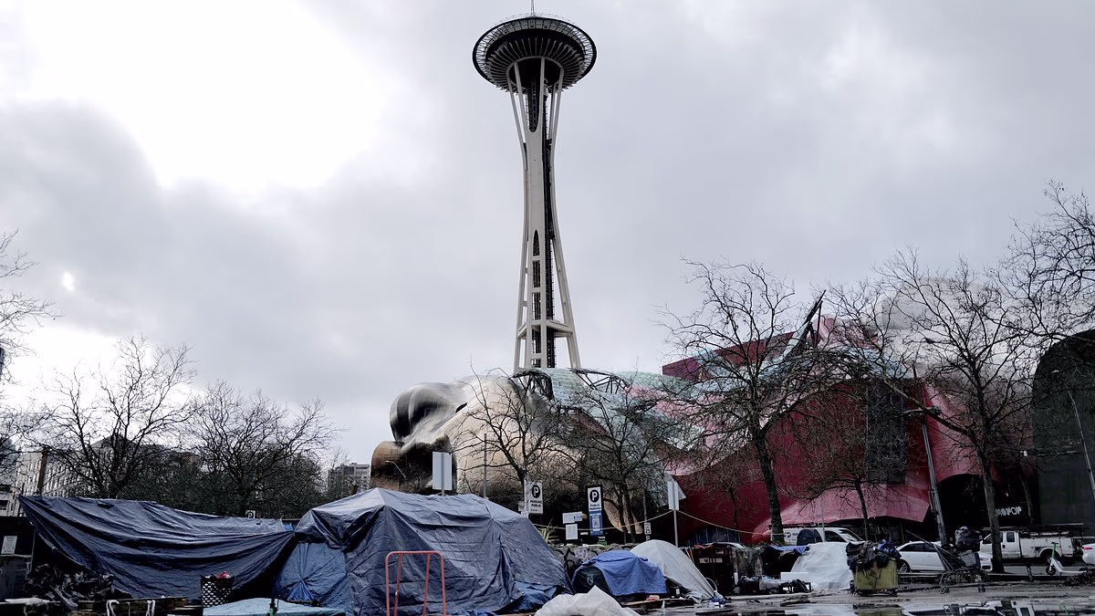 Seattle addicts hail new mayor 'who'll let them shoot up in streets'