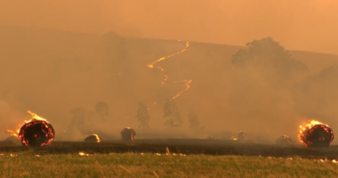 Victoria fires, Alexandra