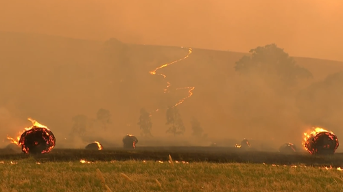 Victoria fires, Alexandra