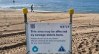 More sewage debris balls have washed up on Sydney beaches near a waste treatment facility after a weekend of heavy rain.
