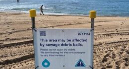More sewage debris balls have washed up on Sydney beaches near a waste treatment facility after a weekend of heavy rain.