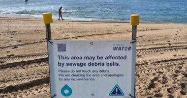 More sewage debris balls have washed up on Sydney beaches near a waste treatment facility after a weekend of heavy rain.
