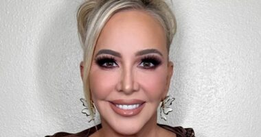 Shannon Beador Says She Knows Identity of Mystery Blogger on RHOC Finale