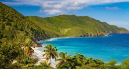 A shark attacked and killed an American woman along a beach in St Croix in the US Virgin Islands, officials said on Friday.