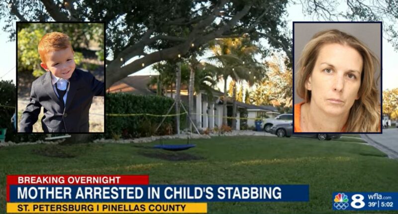 'She sees blood everywhere': Teen girl comes home to find 4-year-old brother dead after mother suffocated him with plastic bag, cops say