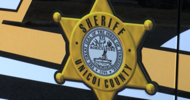 Sheriff: Attempted burglar arrested in Unicoi County