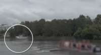 Shocking video shows shark leaping out of Sydney river near school rowers