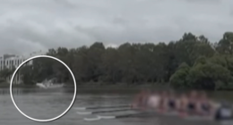 Shocking video shows shark leaping out of Sydney river near school rowers