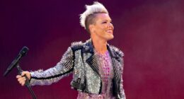 Singer Pink spends New Year's Eve in hospital