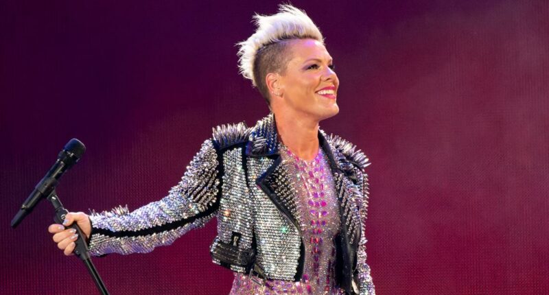Singer Pink spends New Year's Eve in hospital