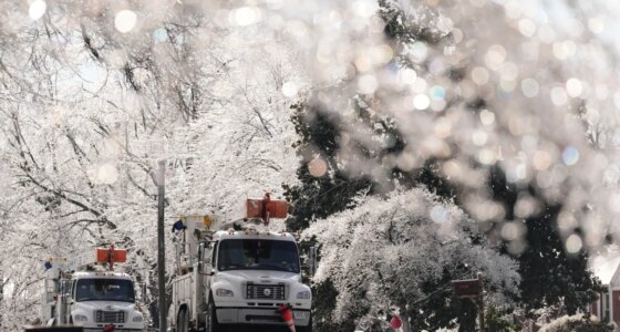 Utility trucks are seen through ice covered trees Wednesday, Jan. 28, 2026, in Nashville, Tenn. after a winter storm passed through area over the weekend. (AP Photo/George Walker IV)