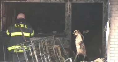 Skokie fire: Family with newborn baby displaced after house fire on North Kostner Avenue in Skokie, Mohammed Fayyaz says