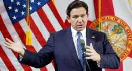 Smiling anti-ICE agitator accused of punching Florida trooper as DeSantis asserts, 'This is not Minneapolis'