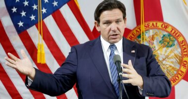 Smiling anti-ICE agitator accused of punching Florida trooper as DeSantis asserts, 'This is not Minneapolis'