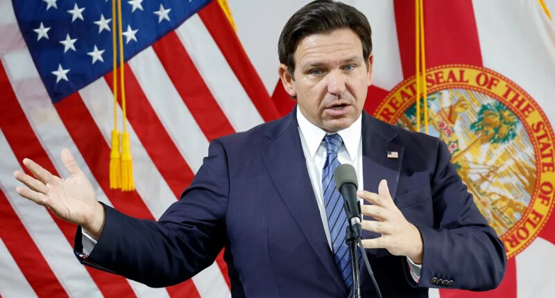 Smiling anti-ICE agitator accused of punching Florida trooper as DeSantis asserts, 'This is not Minneapolis'