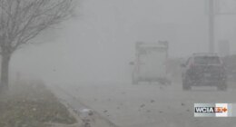 Snow squall causes power outages, school closings in Central IL