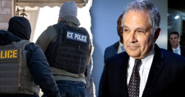 Soros-backed Philadelphia DA vows to 'hunt' down ICE agents: 'we will find you'