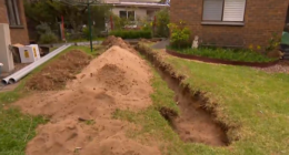 The skull and bones were found yesterday in a shallow grave in Greg's backyard.