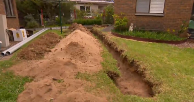 The skull and bones were found yesterday in a shallow grave in Greg's backyard.
